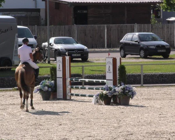 Reitturnier Ingolstadt-Hagau/Obb. 2024