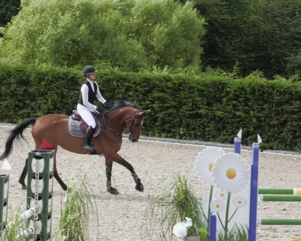 Reitturnier Margarethenhof / Beckingen 2024