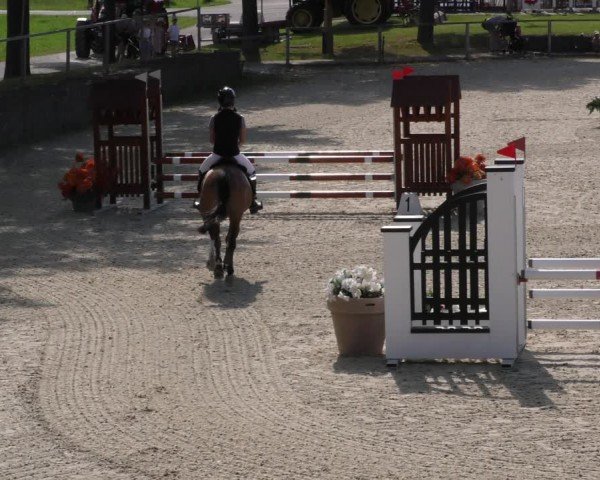 Reitturnier Ingolstadt-Hagau/Obb. 2024