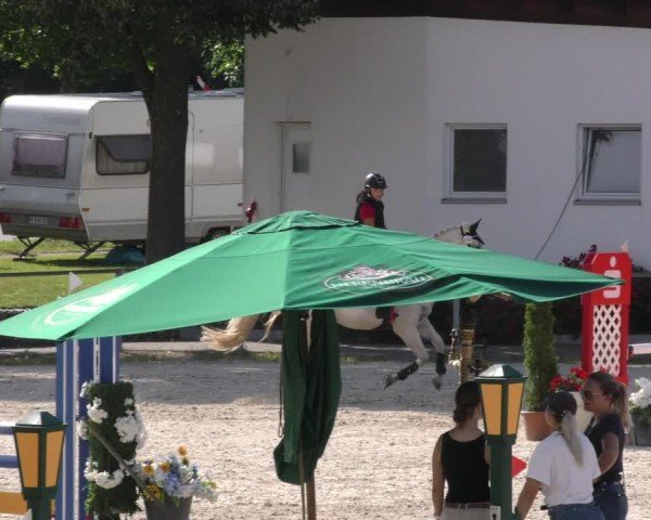 Reitturnier Ingolstadt-Hagau/Obb. 2024
