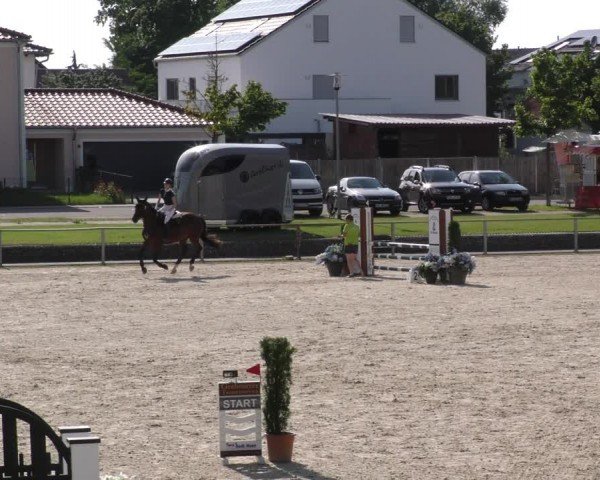 Reitturnier Ingolstadt-Hagau/Obb. 2024