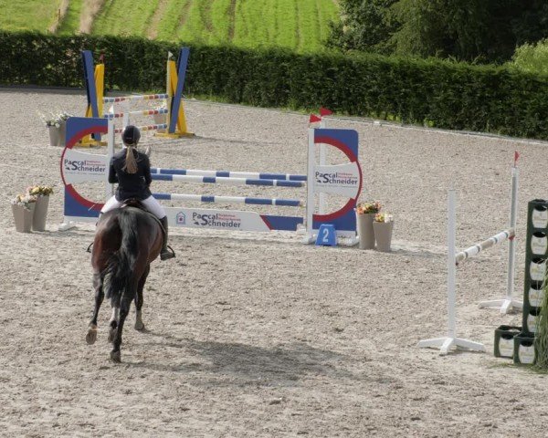 Reitturnier Margarethenhof / Beckingen 2024