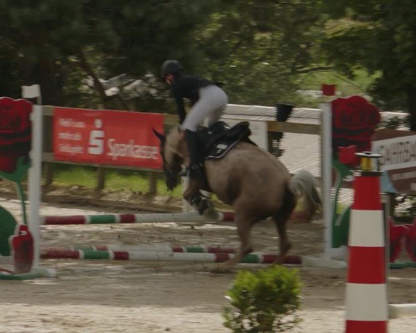 Reitturnier Kalenborn Hegehof 2024