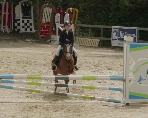 Reitturnier Kalenborn Hegehof 2024
