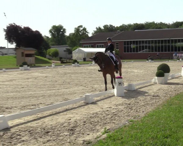 Reitturnier Langenfeld 2024