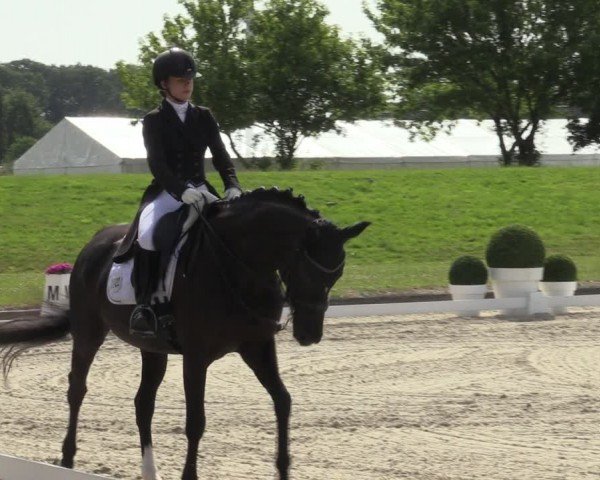 Reitturnier Langenfeld 2024