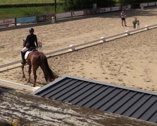 Reitturnier Uder, Reitanlage Kobold 2024