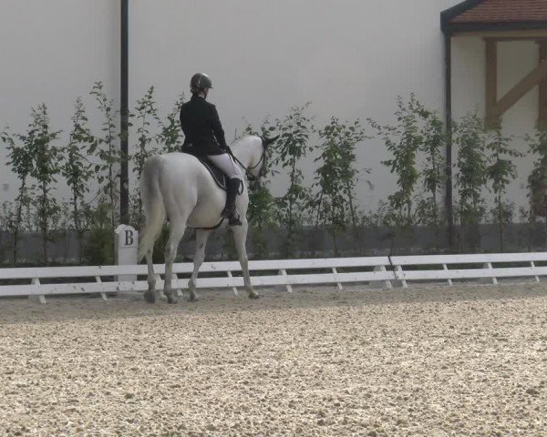 Reitturnier Avenches 2024