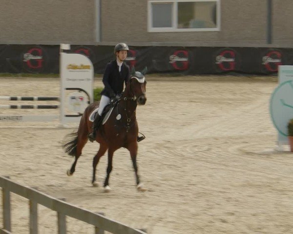 Reitturnier Kalenborn Hegehof 2024