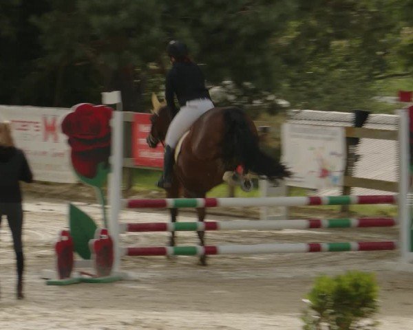Reitturnier Kalenborn Hegehof 2024