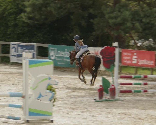Reitturnier Kalenborn Hegehof 2024