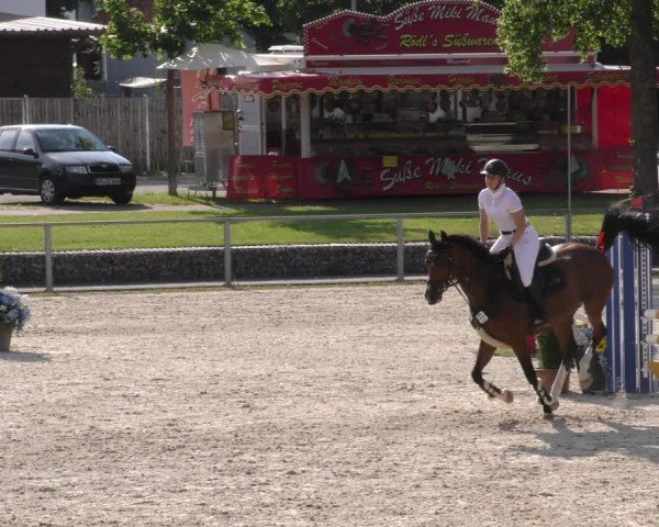 Reitturnier Ingolstadt-Hagau/Obb. 2024