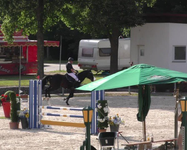 Reitturnier Ingolstadt-Hagau/Obb. 2024
