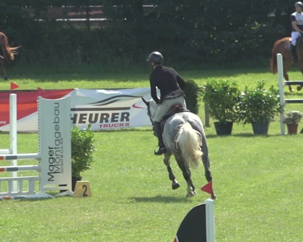 Reitturnier Pennigbüttel 2024