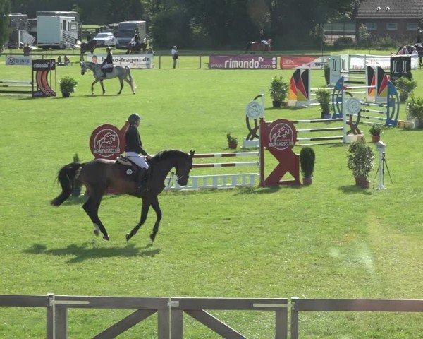 Reitturnier Pennigbüttel 2024