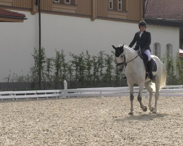 Reitturnier Avenches 2024