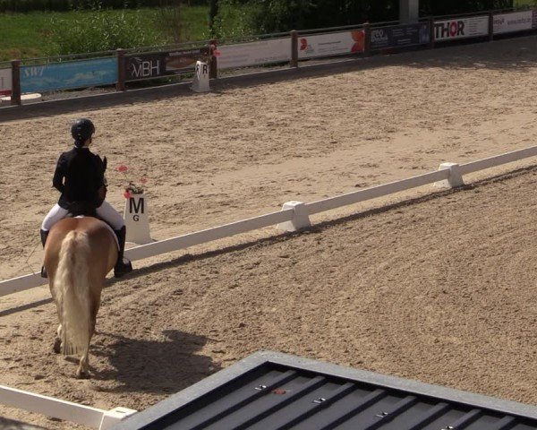 Reitturnier Uder, Reitanlage Kobold 2024