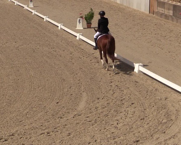 Reitturnier Uder, Reitanlage Kobold 2024