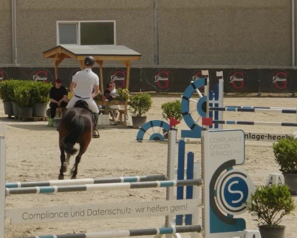 Reitturnier Kalenborn Hegehof 2024