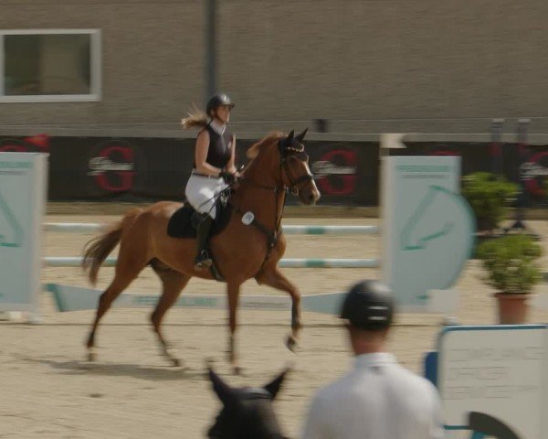 Reitturnier Kalenborn Hegehof 2024