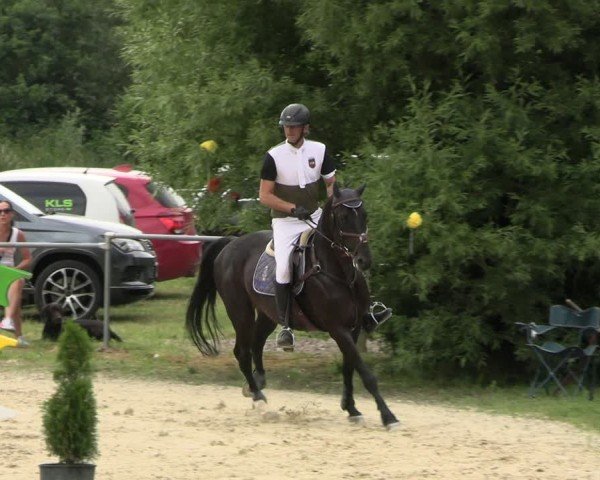 Reitturnier Bad Liebenstein/Sorga 2024