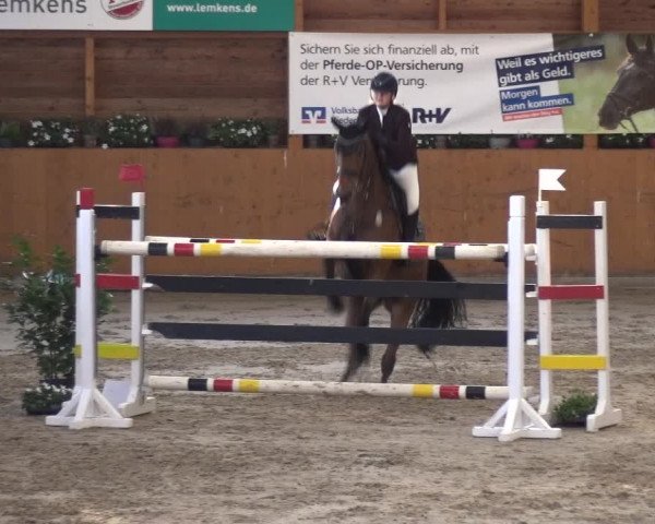 Springturnier Xanten - Reitanlage Miss 2021