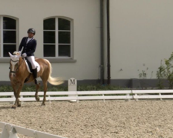 Reitturnier Avenches 2024
