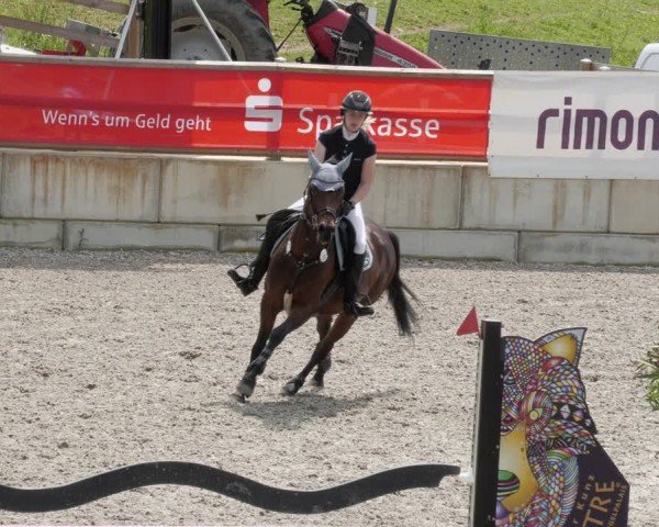 Reitturnier Margarethenhof / Beckingen 2024