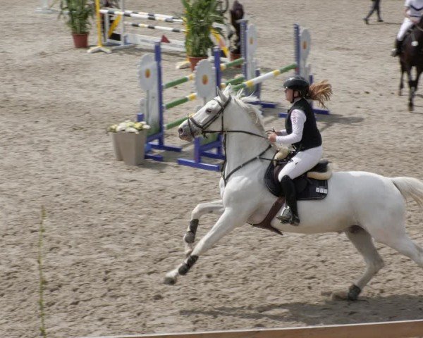 Reitturnier Margarethenhof / Beckingen 2024
