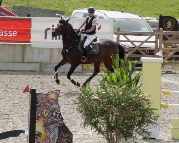 Reitturnier Margarethenhof / Beckingen 2024