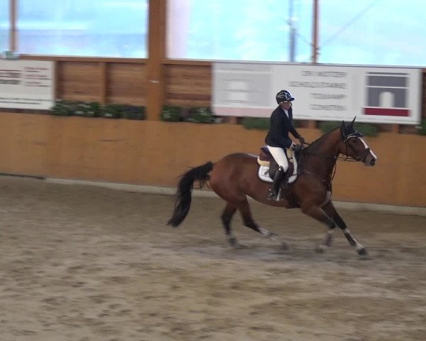 Springturnier Xanten - Reitanlage Miss 2021