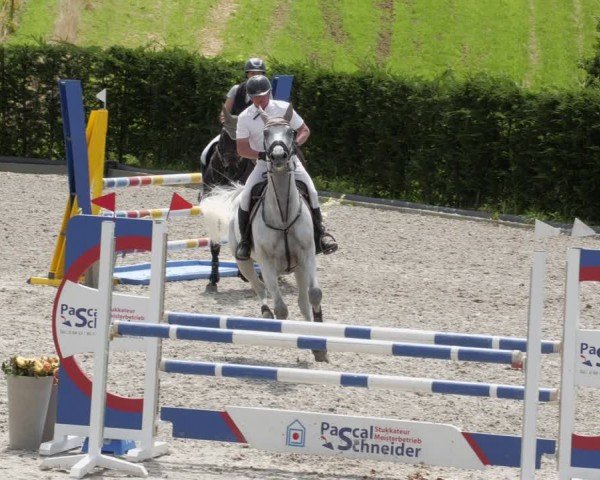 Reitturnier Margarethenhof / Beckingen 2024