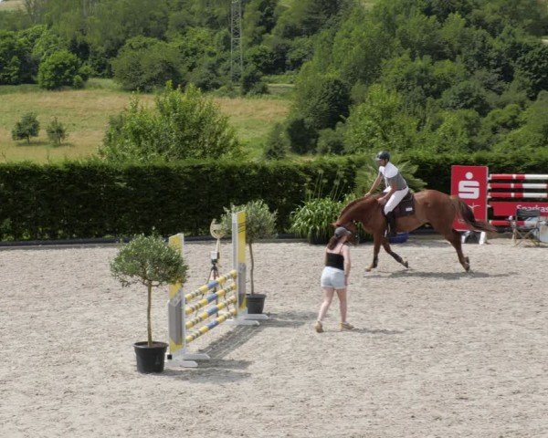 Reitturnier Margarethenhof / Beckingen 2024