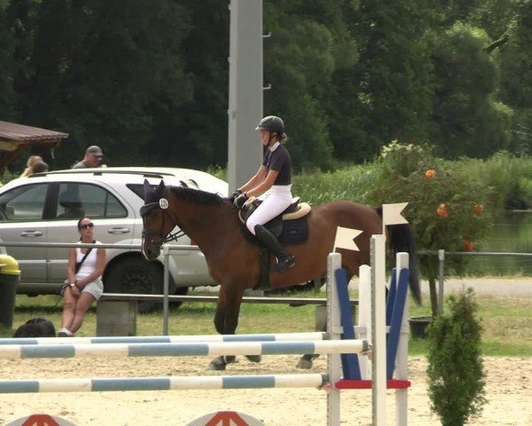 Reitturnier Bad Liebenstein/Sorga 2024