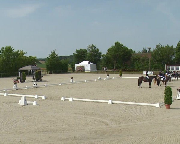 Reitturnier Großbardorf/Ufr. 2024