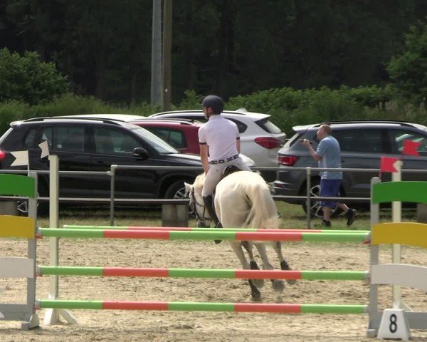 Reitturnier Bad Liebenstein/Sorga 2024