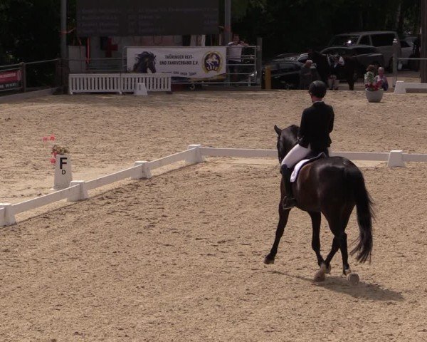 Reitturnier Uder, Reitanlage Kobold 2024