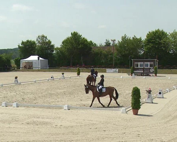 Reitturnier Großbardorf/Ufr. 2024