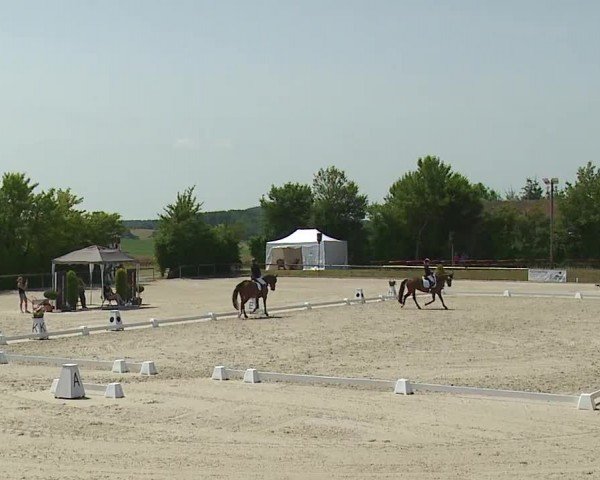 Reitturnier Großbardorf/Ufr. 2024
