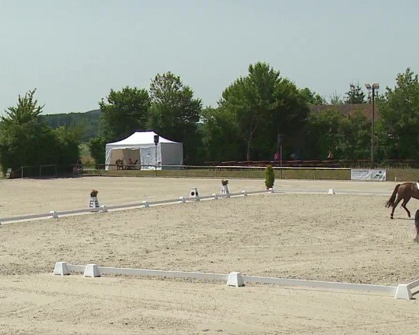 Reitturnier Großbardorf/Ufr. 2024
