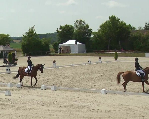 Reitturnier Großbardorf/Ufr. 2024