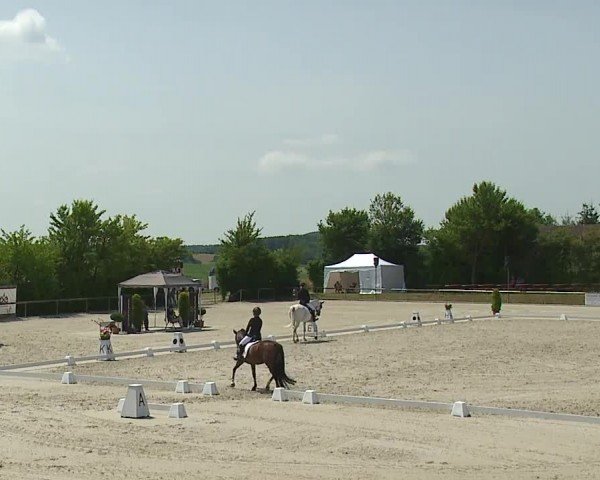Reitturnier Großbardorf/Ufr. 2024