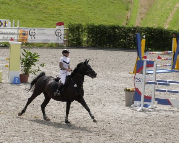 Reitturnier Margarethenhof / Beckingen 2024