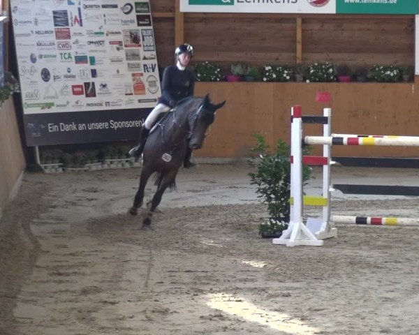 Springturnier Xanten - Reitanlage Miss 2021