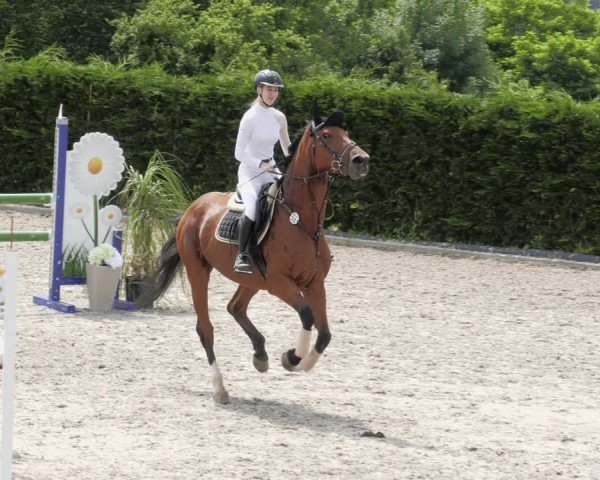 Reitturnier Margarethenhof / Beckingen 2024