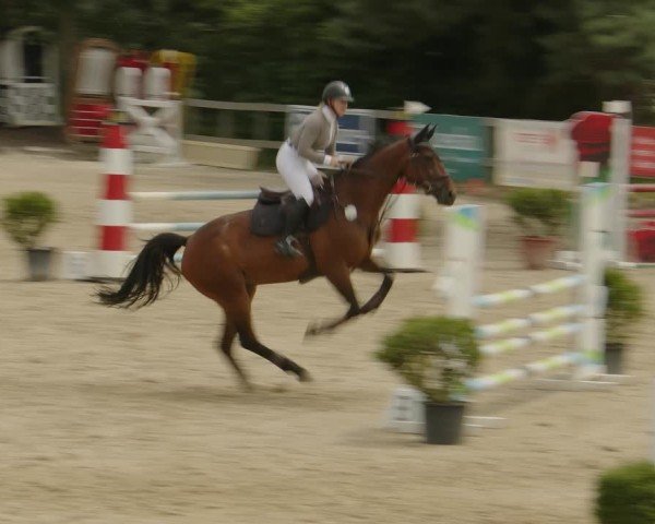 Reitturnier Kalenborn Hegehof 2024