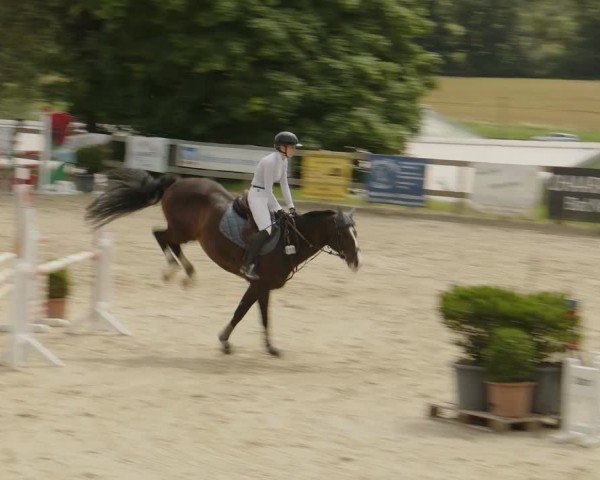 Reitturnier Kalenborn Hegehof 2024