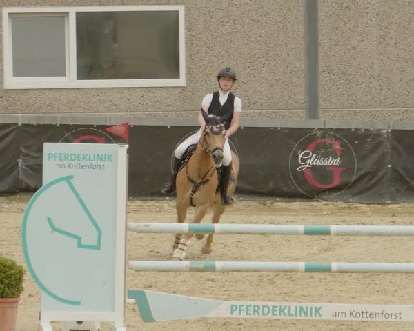 Reitturnier Kalenborn Hegehof 2024
