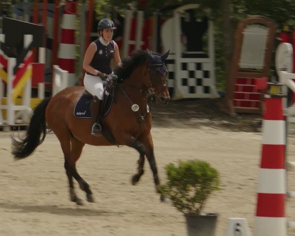 Reitturnier Kalenborn Hegehof 2024