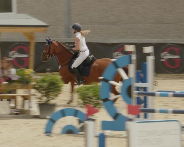 Reitturnier Kalenborn Hegehof 2024